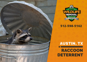 austin raccoon deterrents
