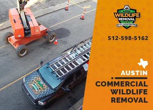 Commercial Wildlife Removal truck in Austin