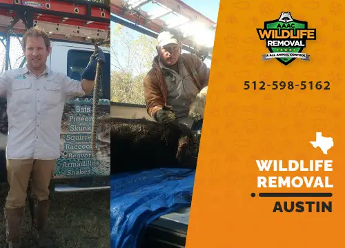 Austin Wildlife Removal professional removing pest animal