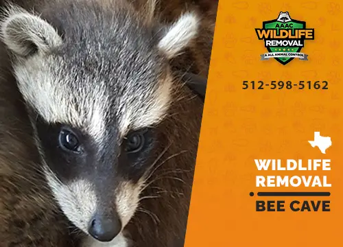 Bee Cave Wildlife Removal professional removing pest animal