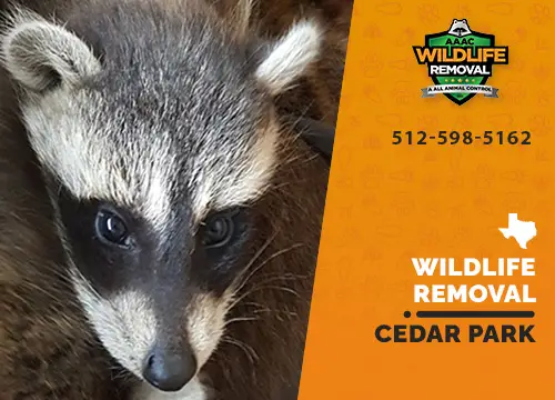 Cedar Park Wildlife Removal professional removing pest animal
