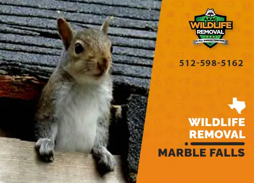 Marble Falls Wildlife Removal professional removing pest animal