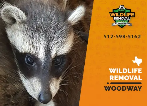 Woodway Wildlife Removal professional removing pest animal